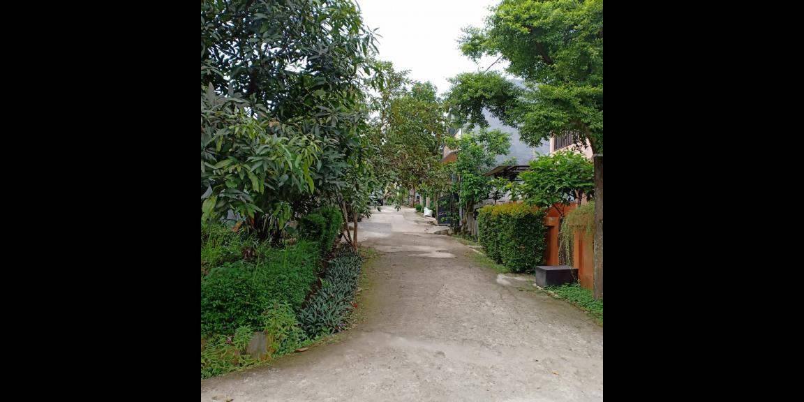 Jalan depan rumah Jalan depan rumah