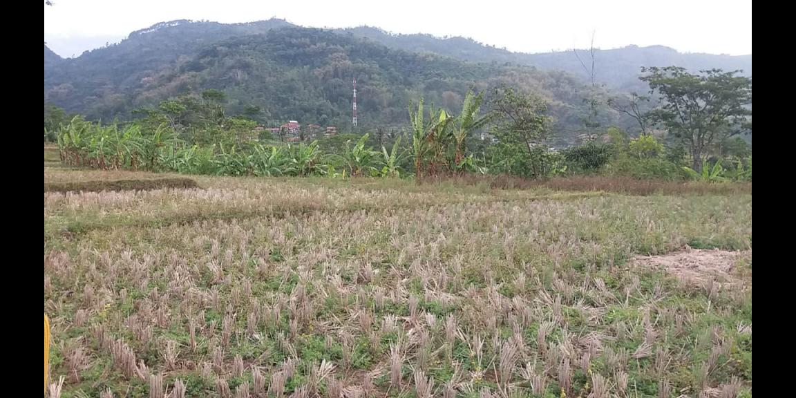 tanah murah untuk investasi tanah murah untuk investasi