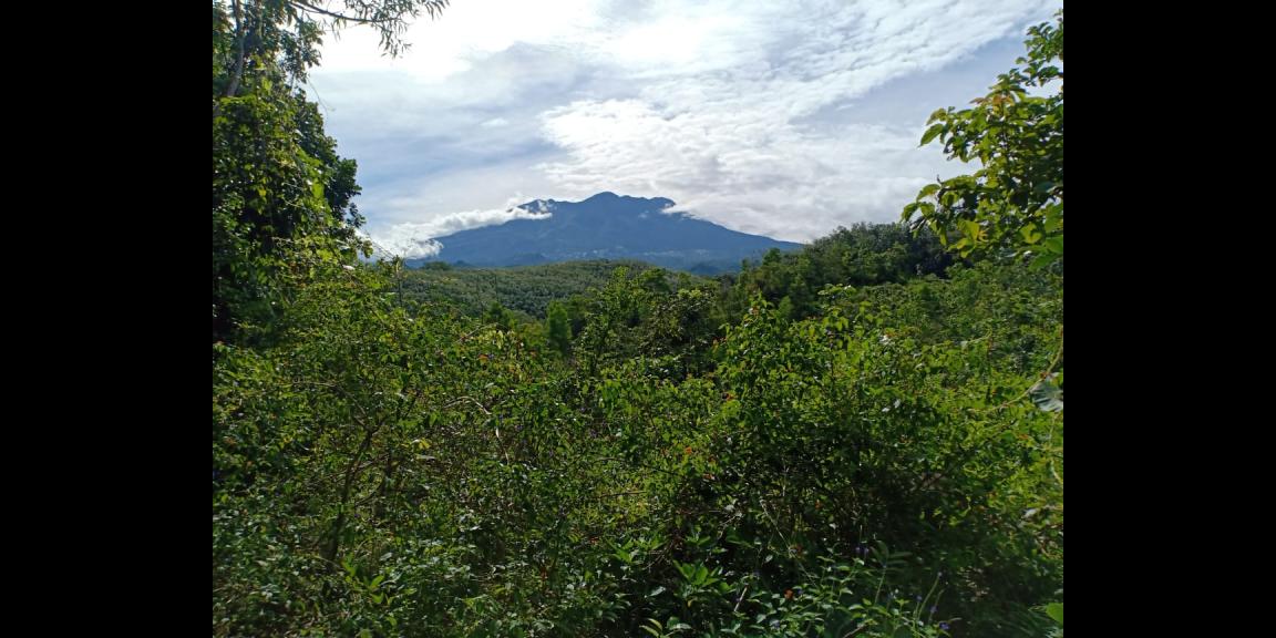 Tanah Subur 7685m² Desa Wisata Kerjo Karanganyar Tanah Subur 7685m² Desa Wisata Kerjo Karanganyar