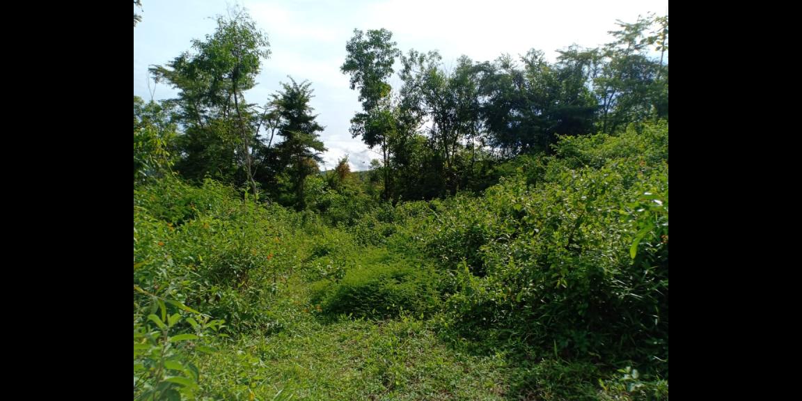 Tanah Subur 7685m² Desa Wisata Kerjo Karanganyar Tanah Subur 7685m² Desa Wisata Kerjo Karanganyar