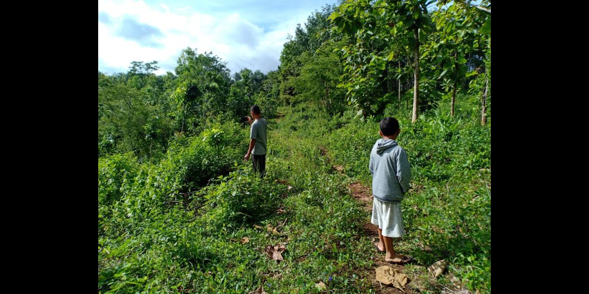 Tanah Subur 7685m² Desa Wisata Kerjo Karanganyar Tanah Subur 7685m² Desa Wisata Kerjo Karanganyar