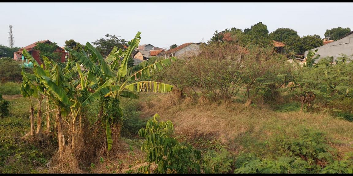 DIJUAL TANAH PEKAYON JAKARTA TIMUR DIJUAL TANAH PEKAYON JAKARTA TIMUR