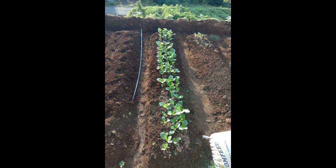 TANAH NGANTONG DI NGAJUM MALANG SCENIC VIEW TANAH NGANTONG DI NGAJUM MALANG SCENIC VIEW