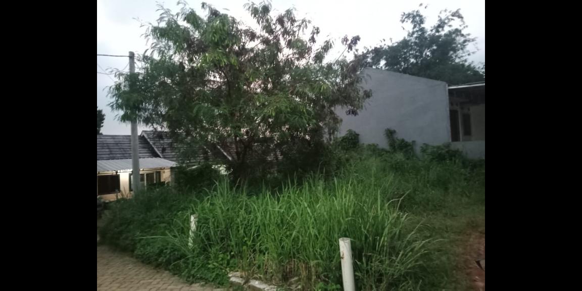 Jual tanah murah 95 m2 di Pondok Rajeg Cibinong Jual tanah murah 95 m2 di Pondok Rajeg Cibinong