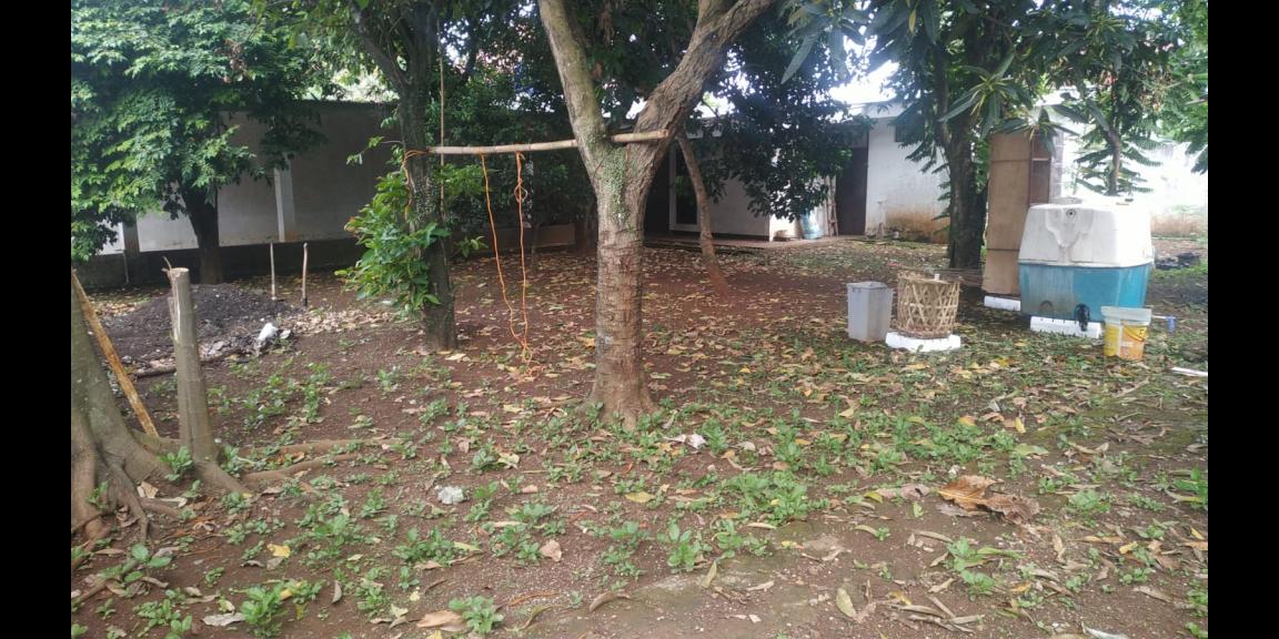 Tanah 800 m2 Kalimulya Depok sudah tembok keliling Tanah 800 m2 Kalimulya Depok sudah tembok keliling