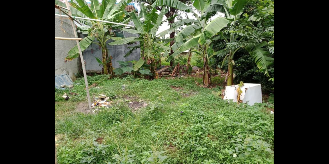 Dijual tanah dekat pasar pucung bagus untuk hunian Dijual tanah dekat pasar pucung bagus untuk hunian