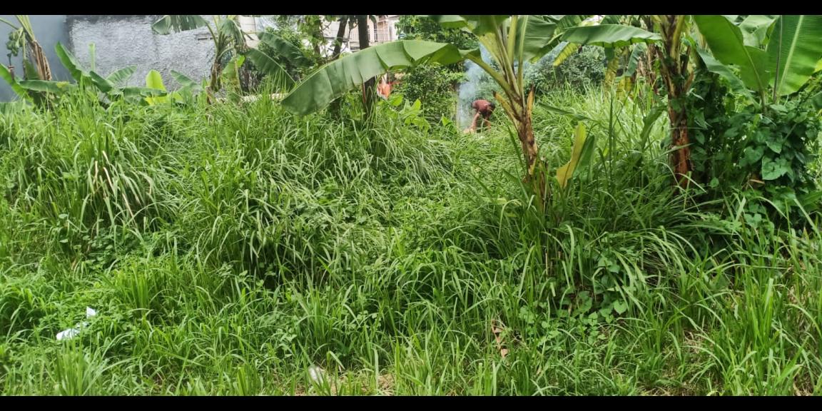 Tanah 210 m2 huk di Kalibaru Depok Tanah 210 m2 huk di Kalibaru Depok