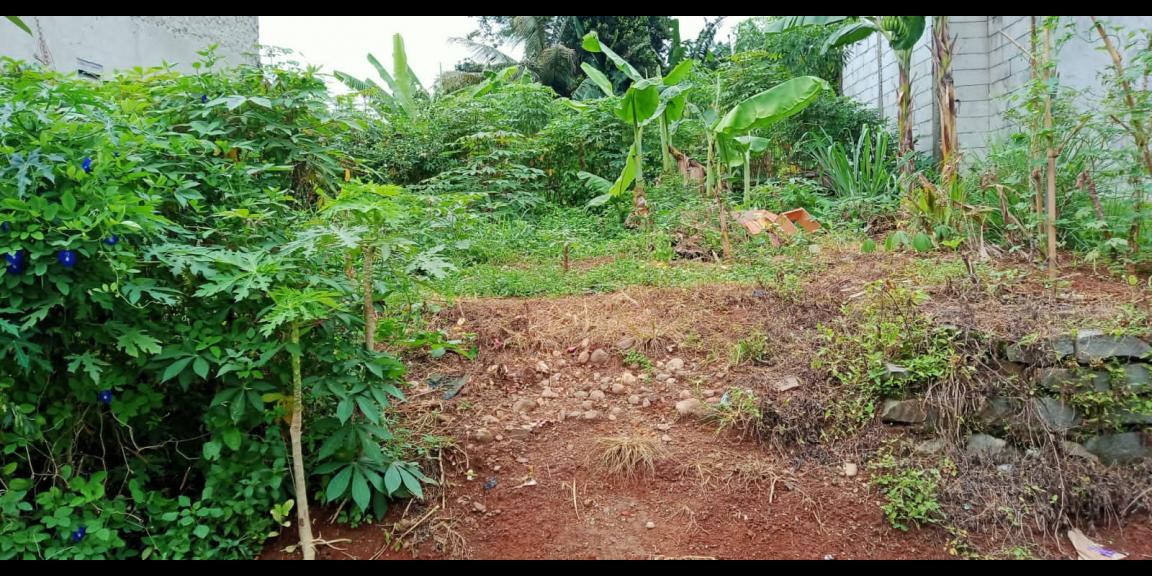 Tanah murah 100 m2 di Kalibaru Depok Tanah murah 100 m2 di Kalibaru Depok