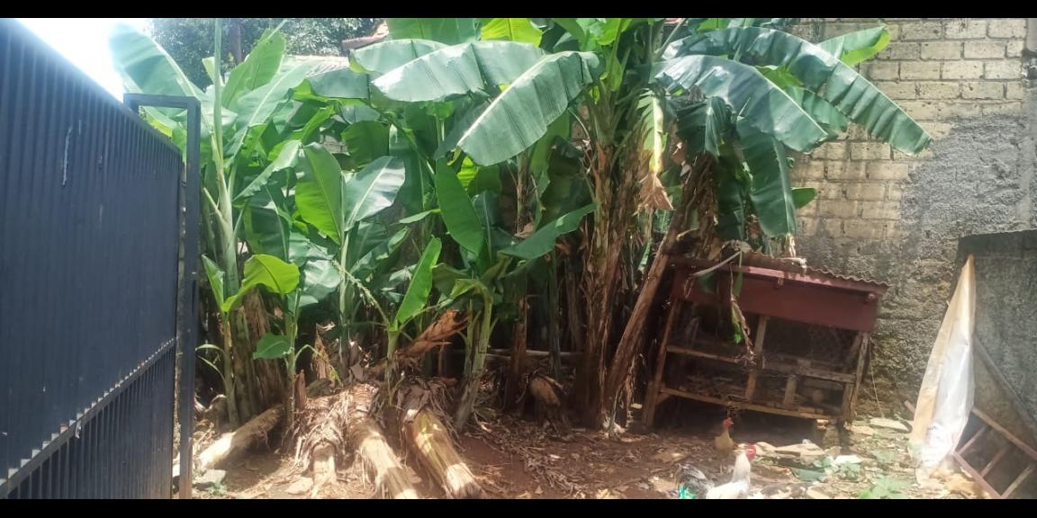 Tanah 140 m2 di Kalibaru Depok sudah tembok keliling Tanah 140 m2 di Kalibaru Depok sudah tembok keliling