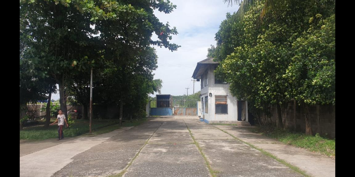 Gudang Di Karawang Dekat Tol Siap Pakai Gudang Di Karawang Dekat Tol Siap Pakai