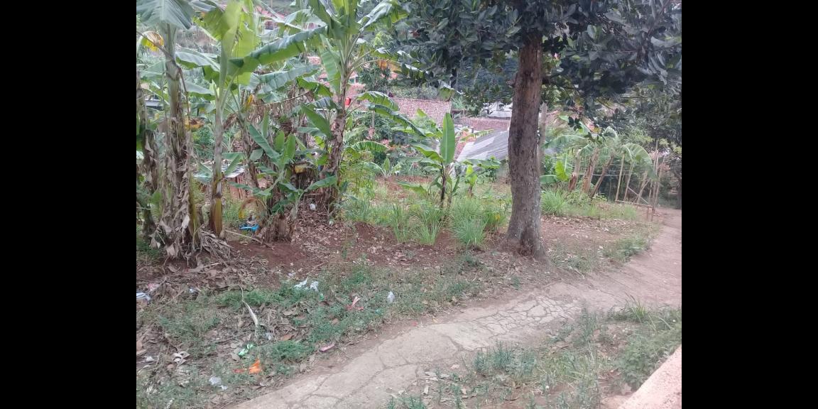 Tanah di Cileunyi Bandung Tanah di Cileunyi Bandung