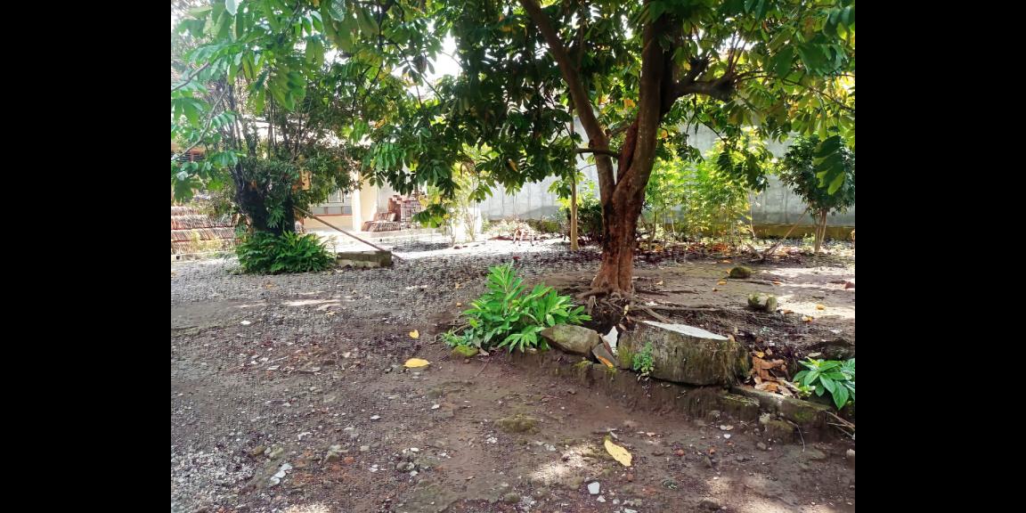 Tanah Ada Bangunan di Ambarketawang Gamping Sleman Yogyakarta Tanah Ada Bangunan di Ambarketawang Gamping Sleman Yogyakarta