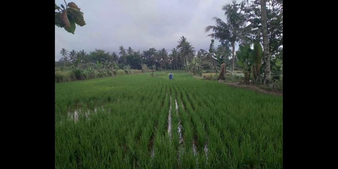 Tanah di sleman kab.Bandung Tanah di sleman kab.Bandung