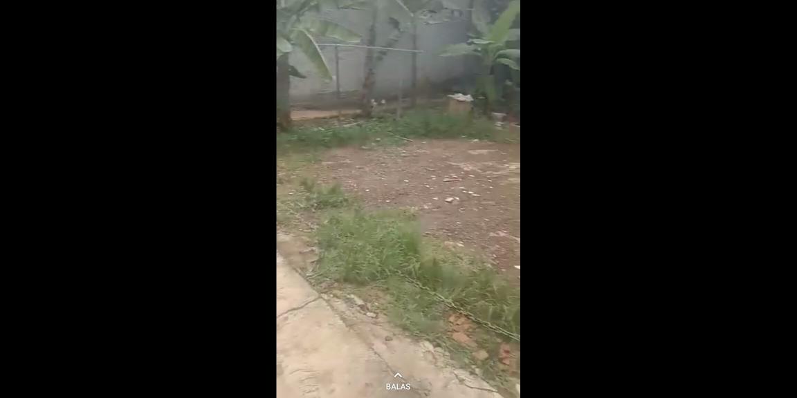 Tanah 160 m2 dekat kelurahan Pondok Rajeg Cibinong Tanah 160 m2 dekat kelurahan Pondok Rajeg Cibinong