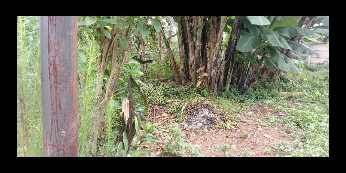 Tanah murah bagus 110 m2 AJB Pondok Rajeg CIbinong Tanah murah bagus 110 m2 AJB Pondok Rajeg CIbinong