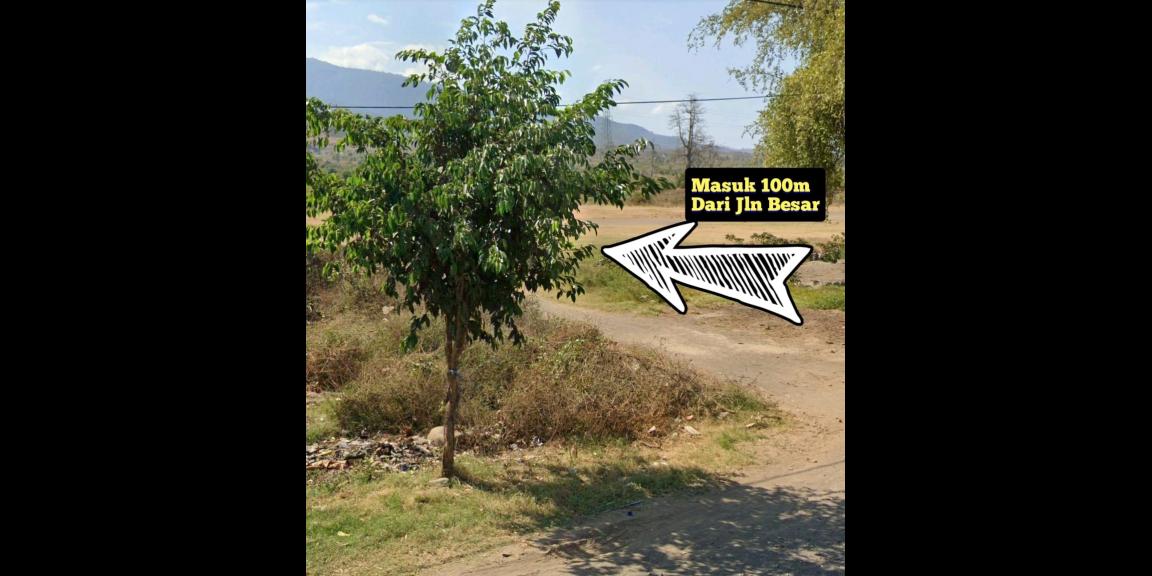 Dijual cepat harga murah tanah di pringgabaya, lombok Dijual cepat harga murah tanah di pringgabaya, lombok