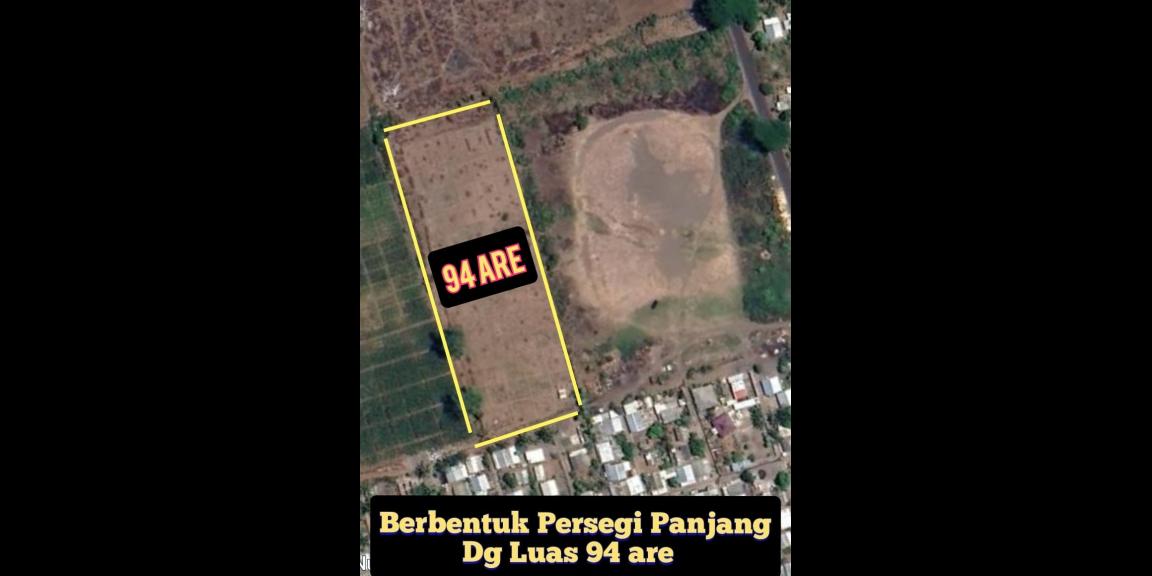 Dijual cepat harga murah tanah di pringgabaya, lombok Dijual cepat harga murah tanah di pringgabaya, lombok
