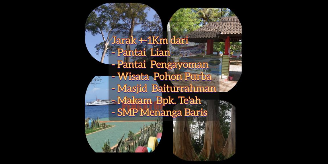 Dijual cepat harga murah tanah di pringgabaya, lombok Dijual cepat harga murah tanah di pringgabaya, lombok