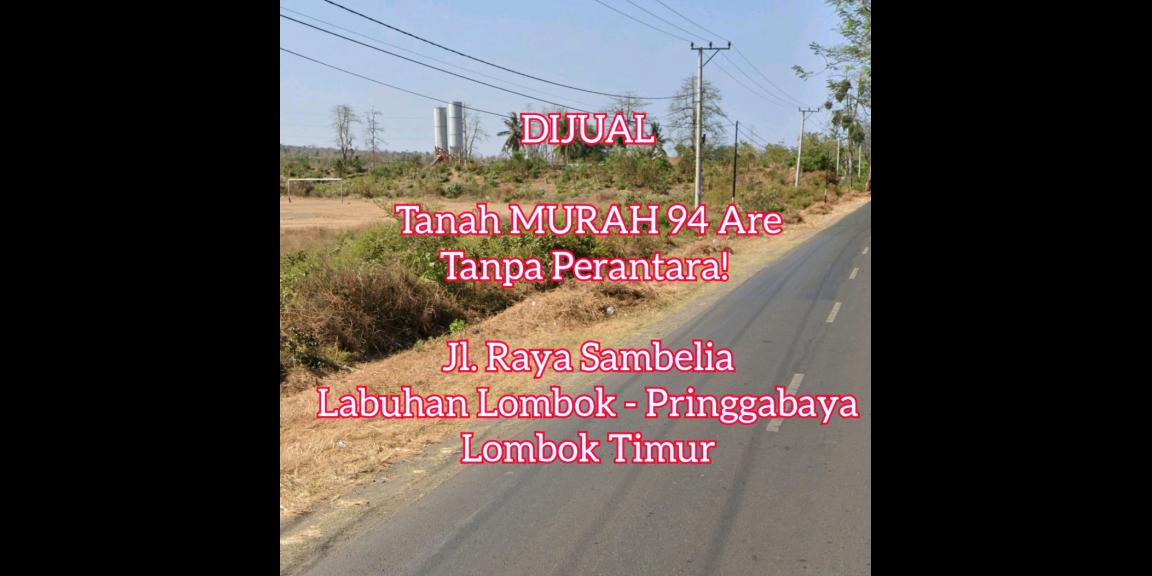 Dijual cepat harga murah tanah di pringgabaya, lombok Dijual cepat harga murah tanah di pringgabaya, lombok