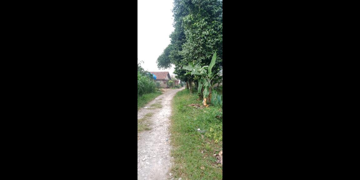 Tanah murah 604 Cibinong Bogor Tanah murah 604 Cibinong Bogor