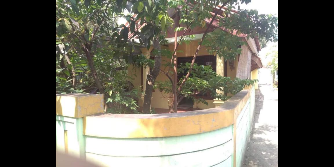 Rumah murah asri cocok untuk kostan di Brebes Rumah murah asri cocok untuk kostan di Brebes