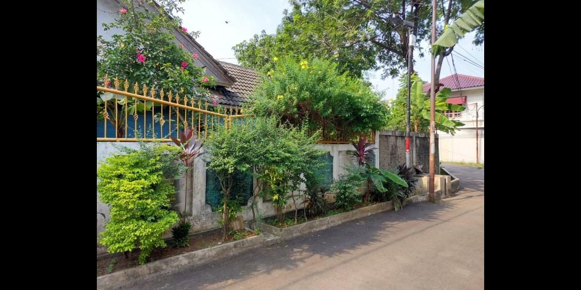 Rumah ASRI di Kav.BNI, Jati Cempaka masih berpohonan Rumah ASRI di Kav.BNI, Jati Cempaka masih berpohonan