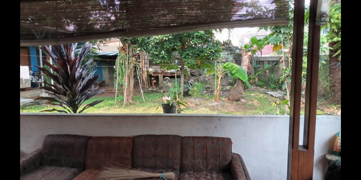 Rumah ASRI di Kav.BNI, Jati Cempaka masih berpohonan Rumah ASRI di Kav.BNI, Jati Cempaka masih berpohonan