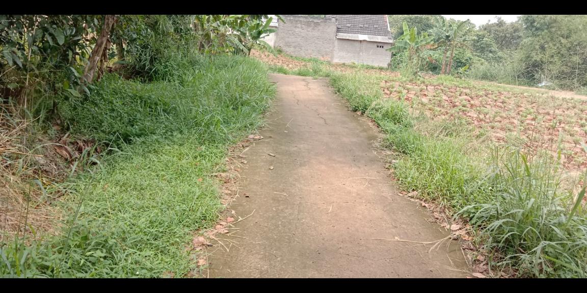 Tanah murah 500 m2 Tajurhalang Bogor Tanah murah 500 m2 Tajurhalang Bogor