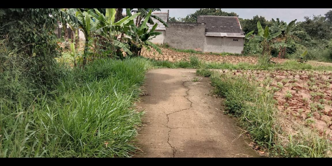 Tanah murah 500 m2 Tajurhalang Bogor Tanah murah 500 m2 Tajurhalang Bogor