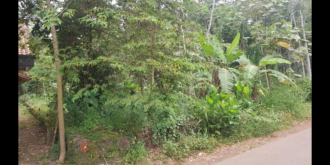 Dijual Tanah dibawah Harga NJOP Lokasi Mijen Semarang Dijual Tanah dibawah Harga NJOP Lokasi Mijen Semarang