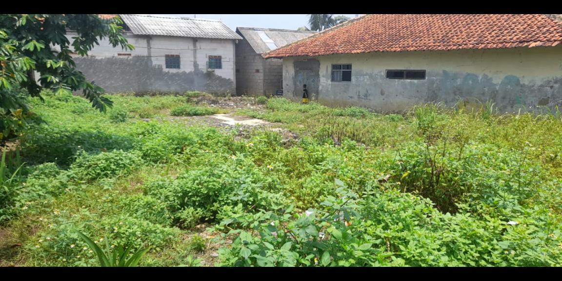 Tanah murah 229 m2 Cibinong Bogor Tanah murah 229 m2 Cibinong Bogor