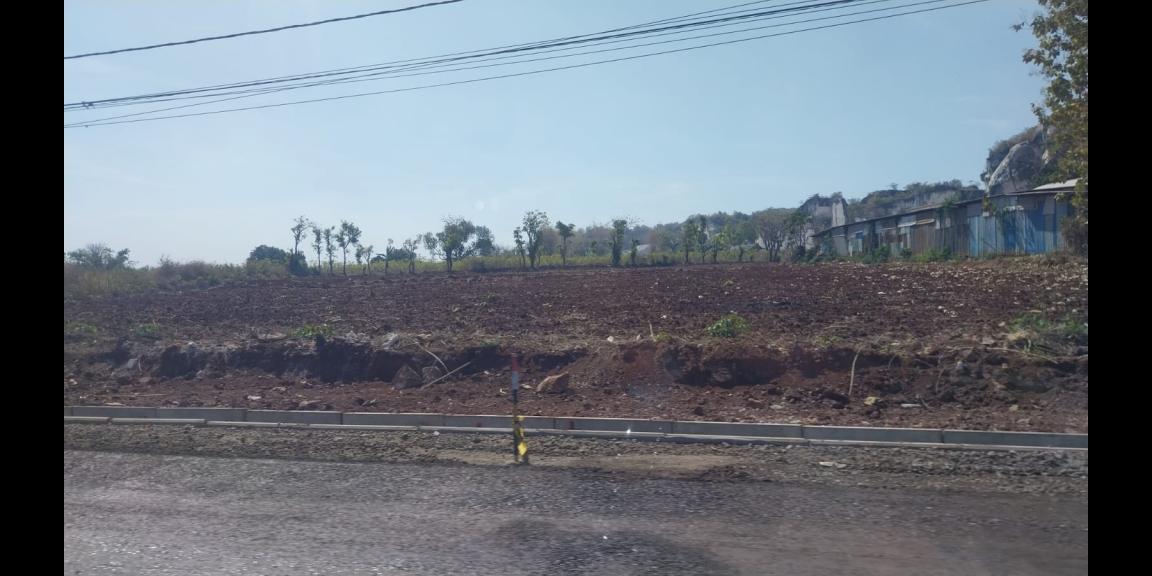 Lahan Strategis NoL Jalan Siap Bangun Tanpa Menguruk Harga Istimewa di Gresik Lahan Strategis NoL Jalan Siap Bangun Tanpa Menguruk Harga Istimewa di Gresik