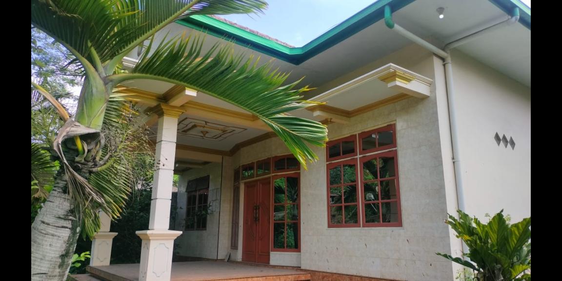 DIJUAL CEPAT, BUTUH UANG BANGET. TANAH, RUMAH, DAN GUDANG DI PUSAT KOTA JEMBER. NEGO!! DIJUAL CEPAT, BUTUH UANG BANGET. TANAH, RUMAH, DAN GUDANG DI PUSAT KOTA JEMBER. NEGO!!