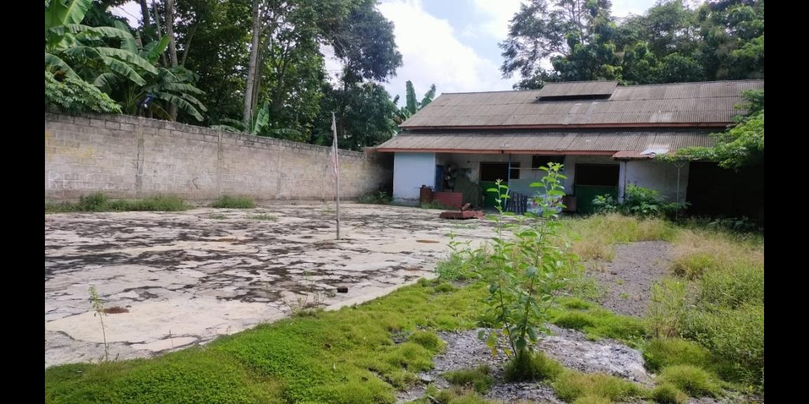 DIJUAL CEPAT, BUTUH UANG BANGET. TANAH, RUMAH, DAN GUDANG DI PUSAT KOTA JEMBER. NEGO!! DIJUAL CEPAT, BUTUH UANG BANGET. TANAH, RUMAH, DAN GUDANG DI PUSAT KOTA JEMBER. NEGO!!