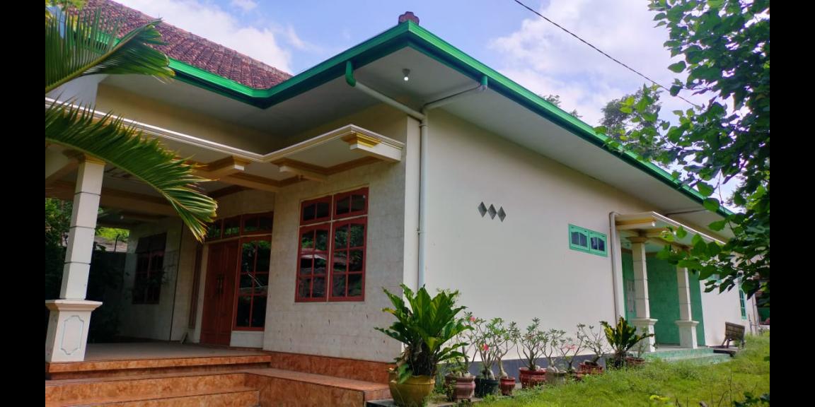 DIJUAL CEPAT, BUTUH UANG BANGET. TANAH, RUMAH, DAN GUDANG DI PUSAT KOTA JEMBER. NEGO!! DIJUAL CEPAT, BUTUH UANG BANGET. TANAH, RUMAH, DAN GUDANG DI PUSAT KOTA JEMBER. NEGO!!