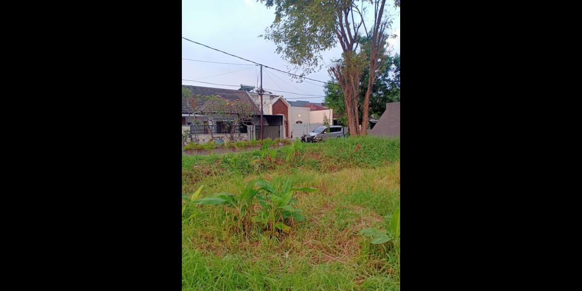 Rumah Murah Baru Renovasi Lokasi Pondok Tjandra Indah Waru Sidoarjo  Rumah Murah Baru Renovasi Lokasi Pondok Tjandra Indah Waru Sidoarjo