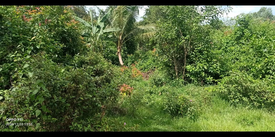 DIJUAL CEPAT TANAH MURAH AREA JAMBE DIJUAL CEPAT TANAH MURAH AREA JAMBE