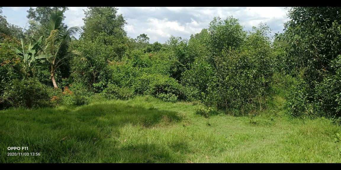 DIJUAL CEPAT TANAH MURAH AREA JAMBE DIJUAL CEPAT TANAH MURAH AREA JAMBE