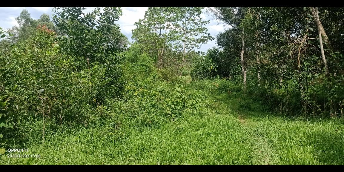 DIJUAL CEPAT TANAH MURAH AREA JAMBE DIJUAL CEPAT TANAH MURAH AREA JAMBE