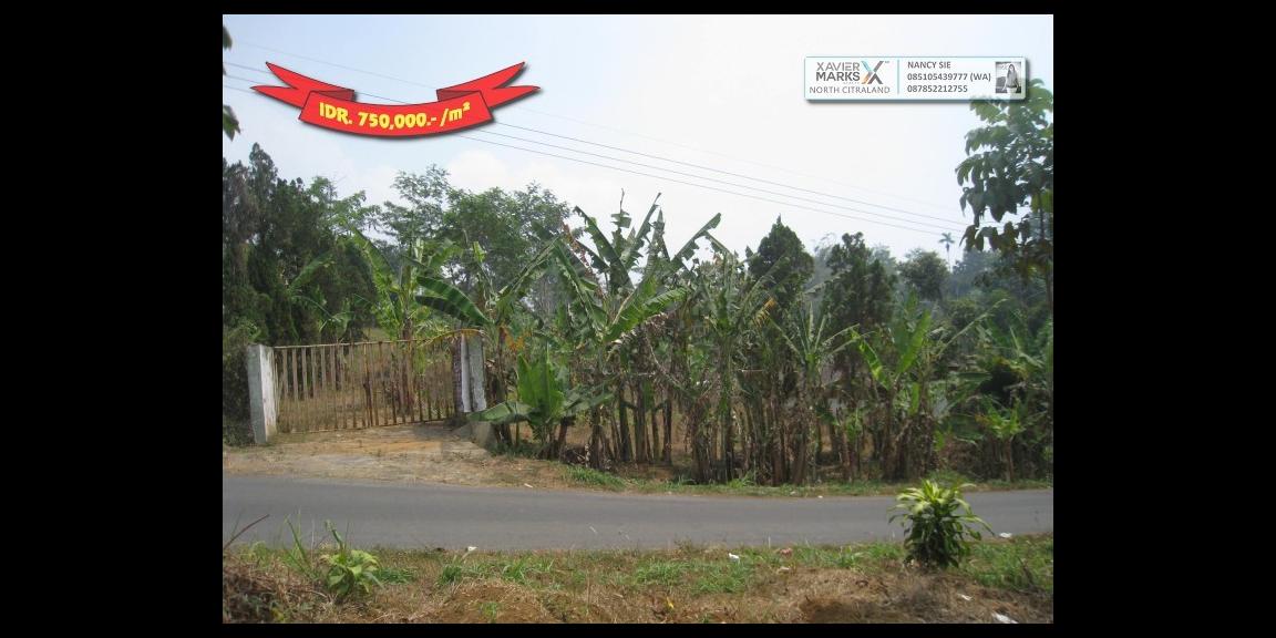 Jalan Raya Trawas Prigen Pasuruan - An Idyllic Location Jalan Raya Trawas Prigen Pasuruan - An Idyllic Location