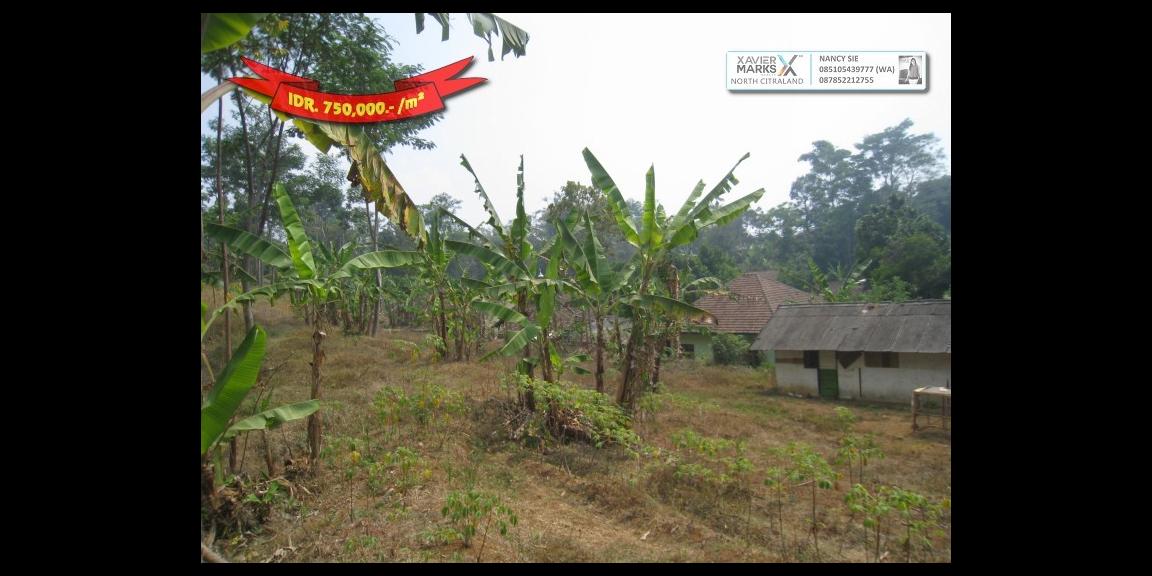 Jalan Raya Trawas Prigen Pasuruan - An Idyllic Location Jalan Raya Trawas Prigen Pasuruan - An Idyllic Location