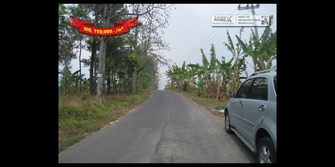 Jalan Raya Trawas Prigen Pasuruan - An Idyllic Location Jalan Raya Trawas Prigen Pasuruan - An Idyllic Location