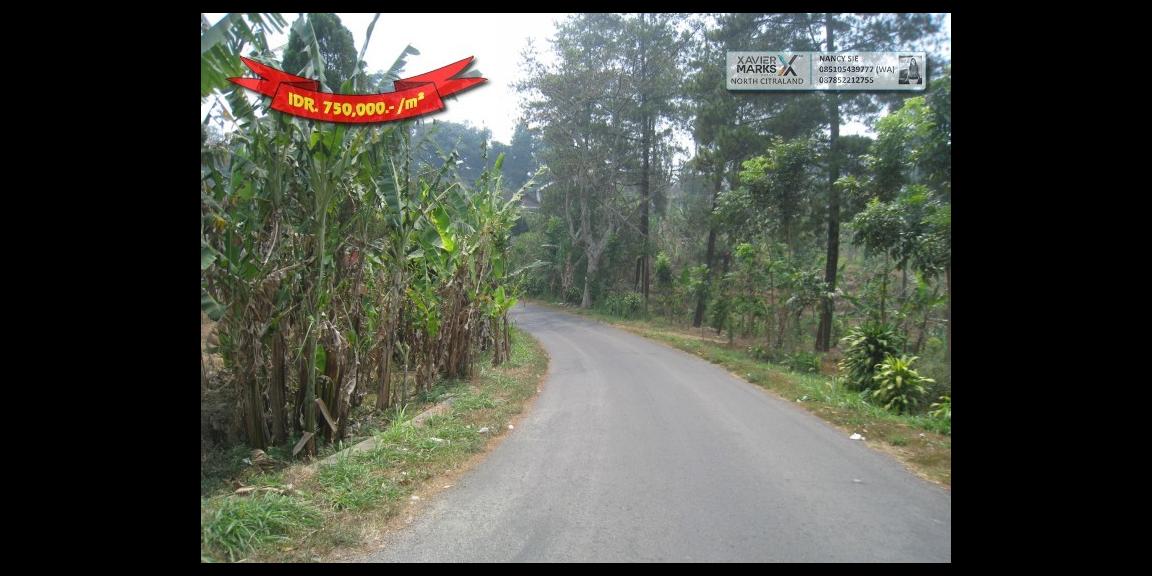 Jalan Raya Trawas Prigen Pasuruan - An Idyllic Location Jalan Raya Trawas Prigen Pasuruan - An Idyllic Location