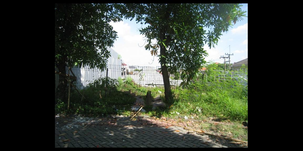 Hot Listing Strategis Cluster depan CitraLand Surabaya Hot Listing Strategis Cluster depan CitraLand Surabaya