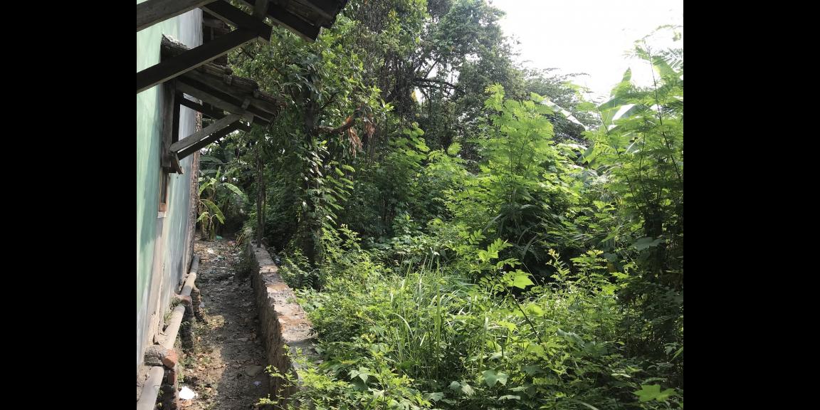 Beli Tanah jalan Genuksari-Karangroto BONUS SENILAI 200JT ( Free tiket ke EROPA ) Beli Tanah jalan Genuksari-Karangroto BONUS SENILAI 200JT ( Free tiket ke EROPA )