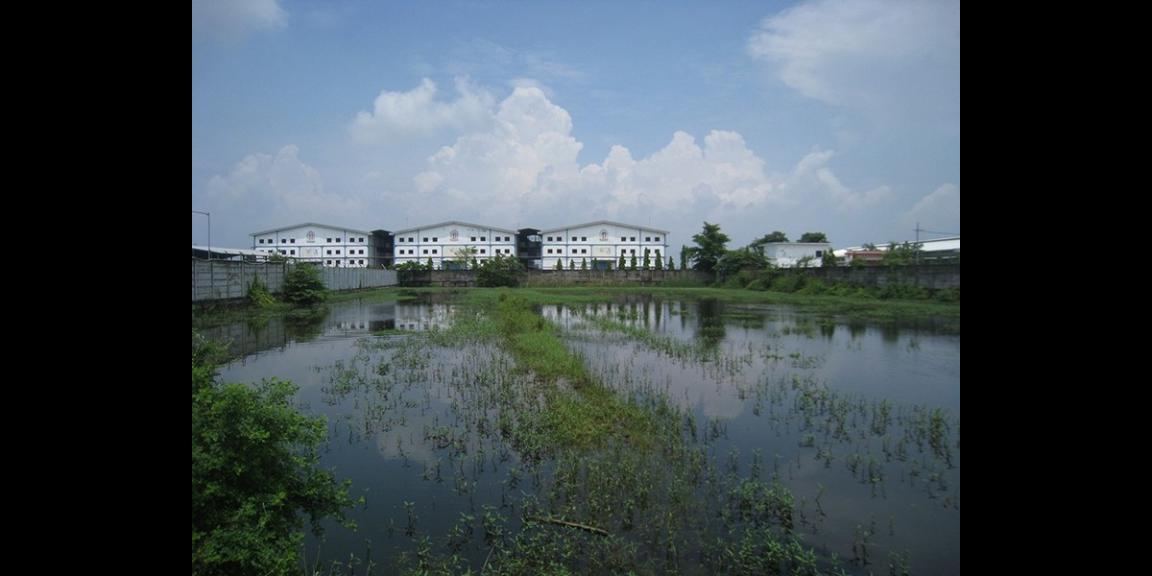 Tanah Komersial Rejosari, Lamongan | 0 Jalan Propinsi, Strategis. Tanah Komersial Rejosari, Lamongan | 0 Jalan Propinsi, Strategis.