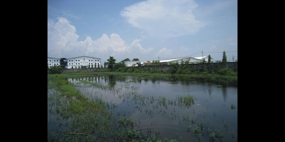 Tanah Komersial Rejosari, Lamongan | 0 Jalan Propinsi, Strategis. Tanah Komersial Rejosari, Lamongan | 0 Jalan Propinsi, Strategis.