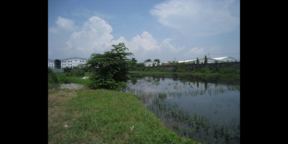 Tanah Komersial Rejosari, Lamongan | 0 Jalan Propinsi, Strategis. Tanah Komersial Rejosari, Lamongan | 0 Jalan Propinsi, Strategis.