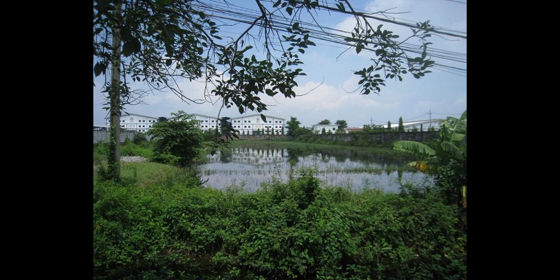 Tanah Komersial Rejosari, Lamongan | 0 Jalan Propinsi, Strategis. Tanah Komersial Rejosari, Lamongan | 0 Jalan Propinsi, Strategis.