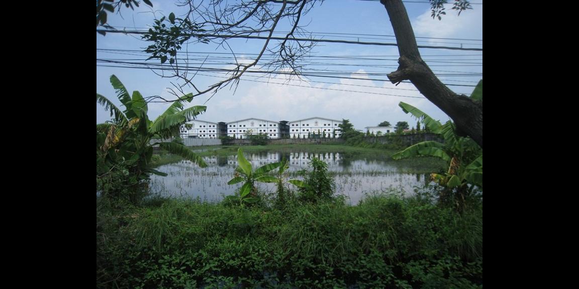 Tanah Komersial Rejosari, Lamongan | 0 Jalan Propinsi, Strategis. Tanah Komersial Rejosari, Lamongan | 0 Jalan Propinsi, Strategis.